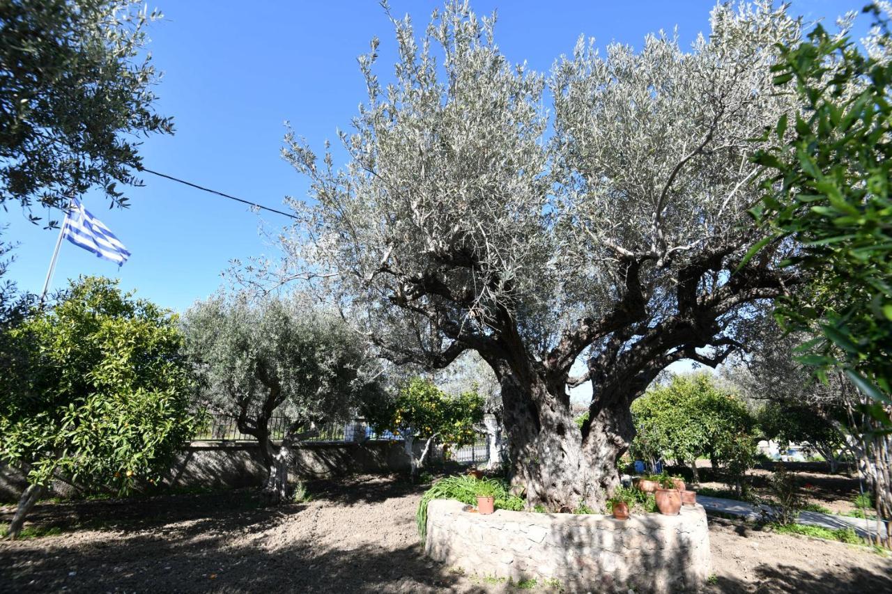 Villa Kavalino コリンビア エクステリア 写真