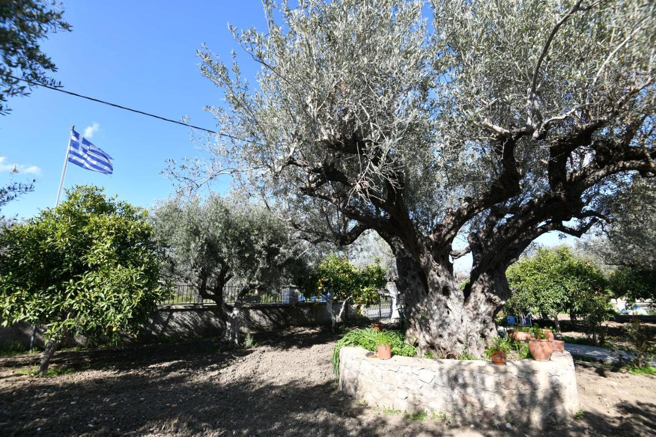 Villa Kavalino コリンビア エクステリア 写真