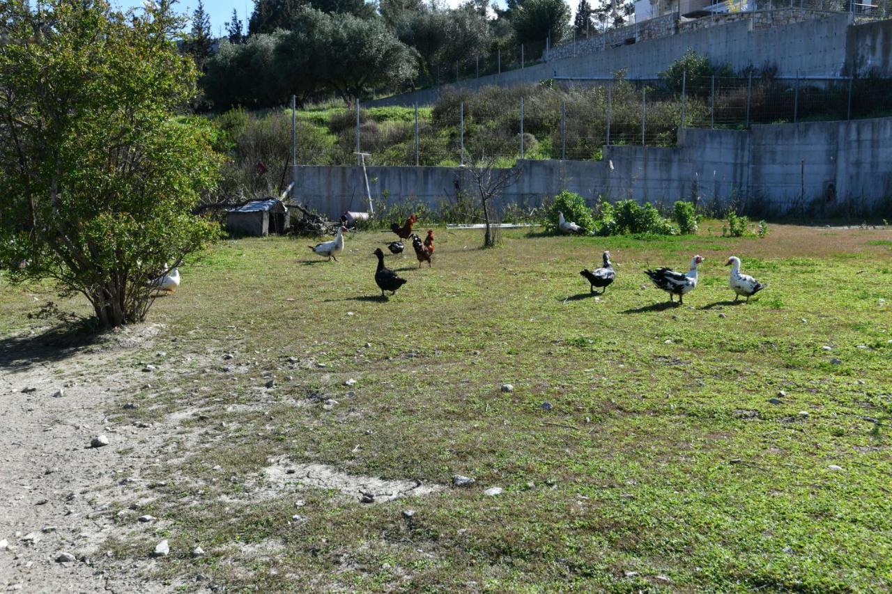 Villa Kavalino コリンビア エクステリア 写真